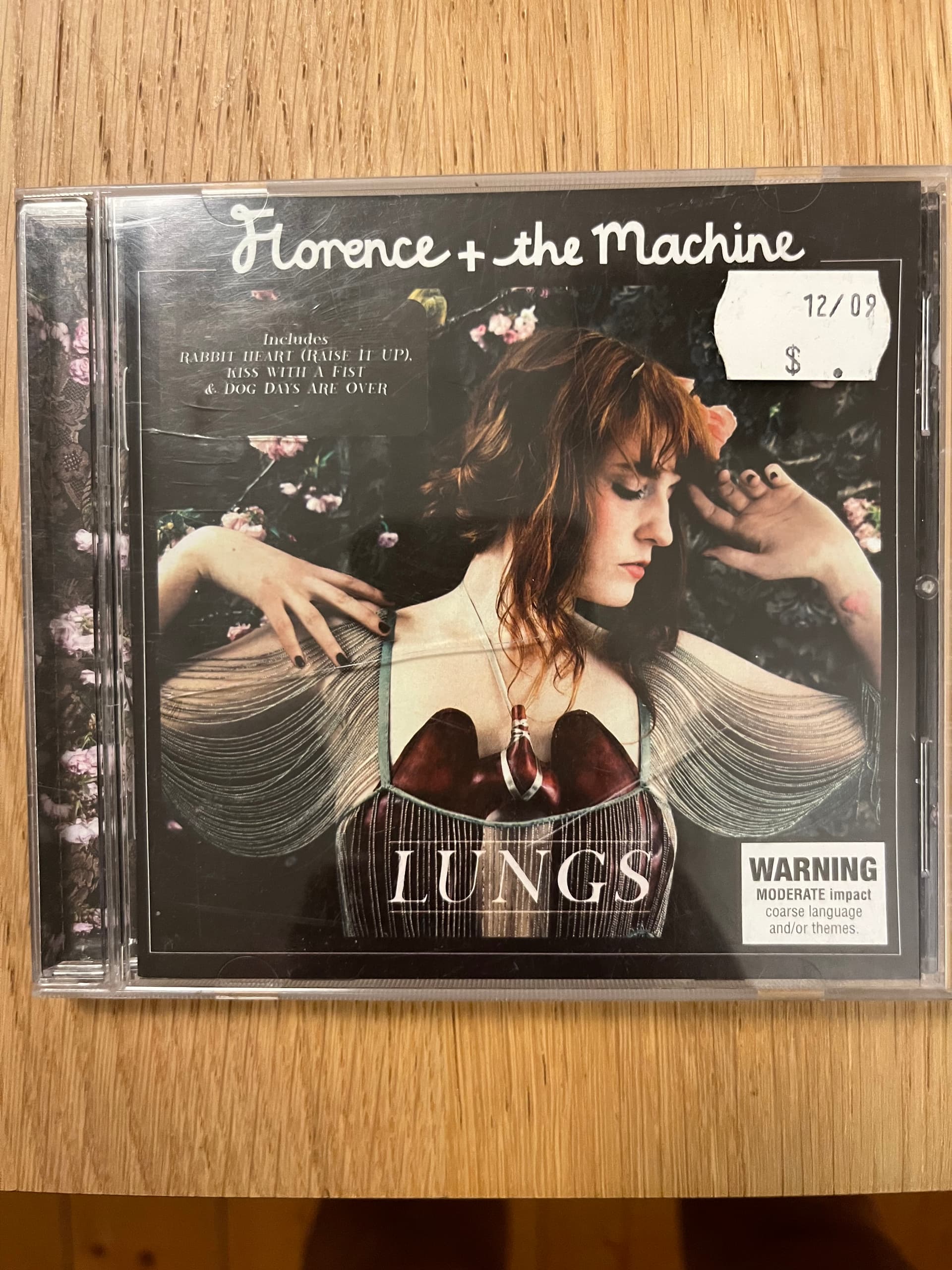 Lungs by Florence and the machine — photo 1
